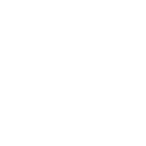 MAGNASTRIKE LOGO