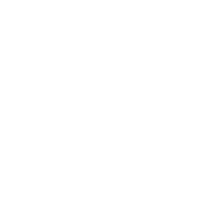 MAGNASTRIKE LOGO