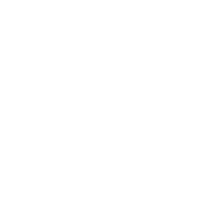 NEKID BALL JIGZ LOGO