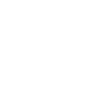 NEKID BALL JIGZ LOGO