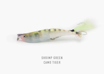 Green Camo Tiger Shrimp