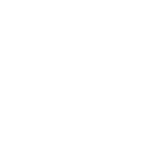 TWITCHING LURE LOGO