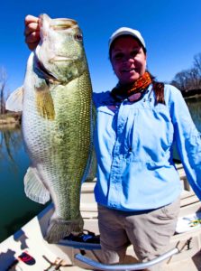 Large Mouth Bass