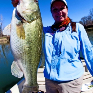 Large Mouth Bass