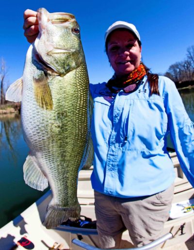 Large Mouth Bass