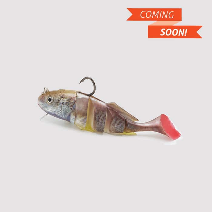 Magnastrike Fishing Lures