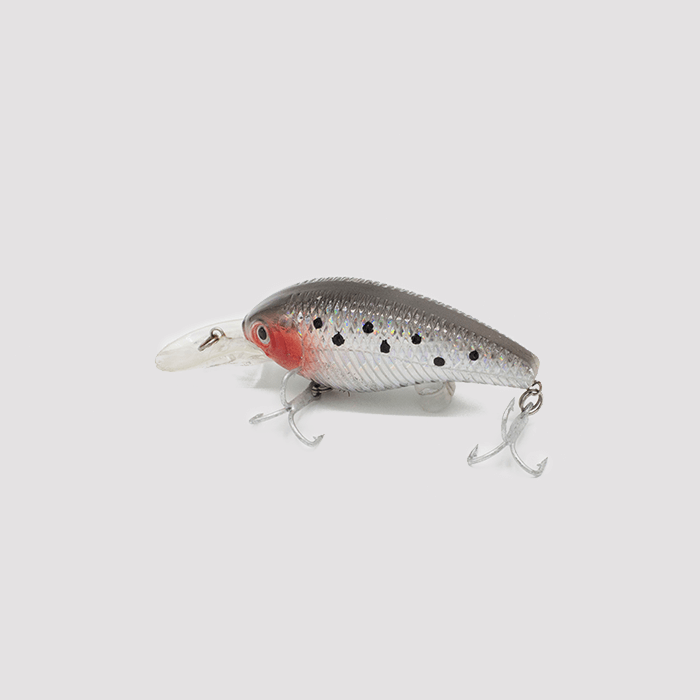 Magnastrike Fishing Lures