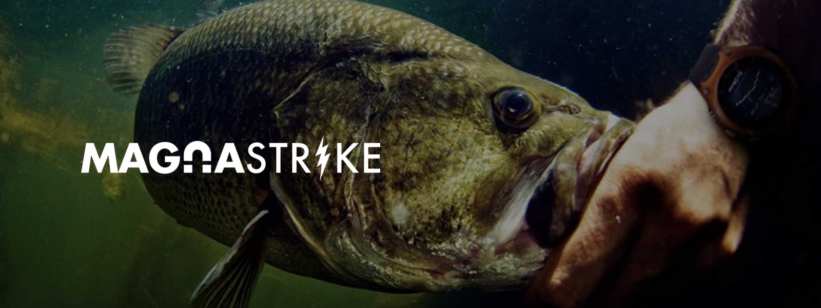 Magnastrike Fishing Lures